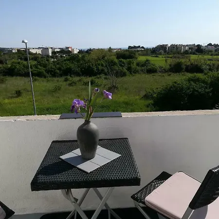 Gina 1 * Novigrad (Istria)